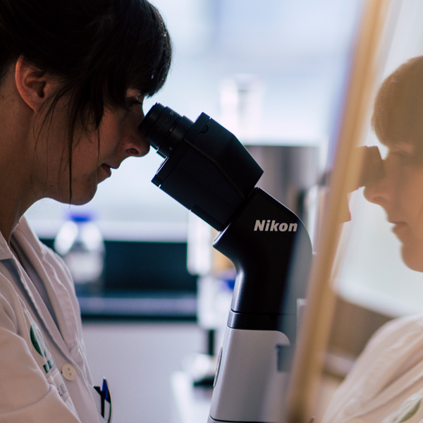 Forschungsprojekte Forschungsprojekte